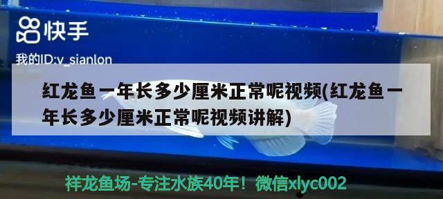 冀州區(qū)李小花花店