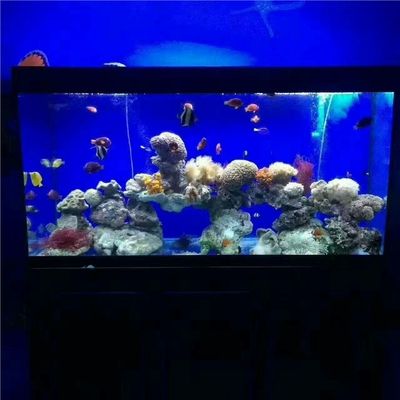 海洋生態(tài)魚缸設(shè)計(jì)原理海洋生態(tài)魚缸市場趨勢分析海洋生態(tài)魚缸設(shè)計(jì)：海洋生態(tài)魚缸的設(shè)計(jì)原理 海洋生態(tài)魚缸設(shè)計(jì)原理海洋生態(tài)魚缸市場趨勢分析海洋生態(tài)魚缸設(shè)計(jì)：海洋生態(tài)魚缸的設(shè)計(jì)原理 魚缸百科 第2張