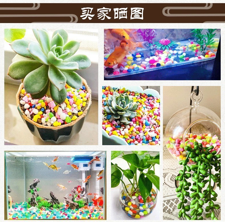魚缸里的彩石是怎么染色的：彩石對魚缸水質的影響