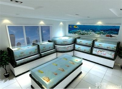 店鋪魚缸擺放風水學：家居風水學中魚缸的擺放位置和角度