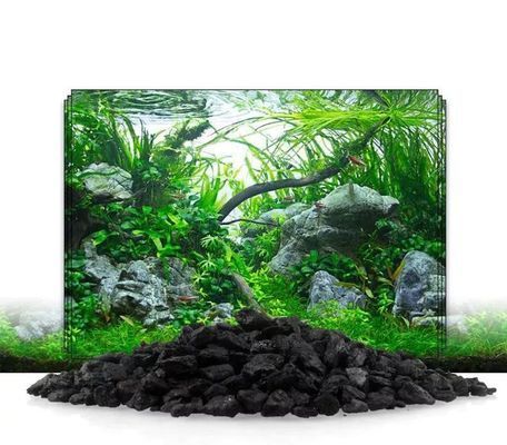 魚缸活性炭是什么材料：關于魚缸活性炭的一些詳細信息