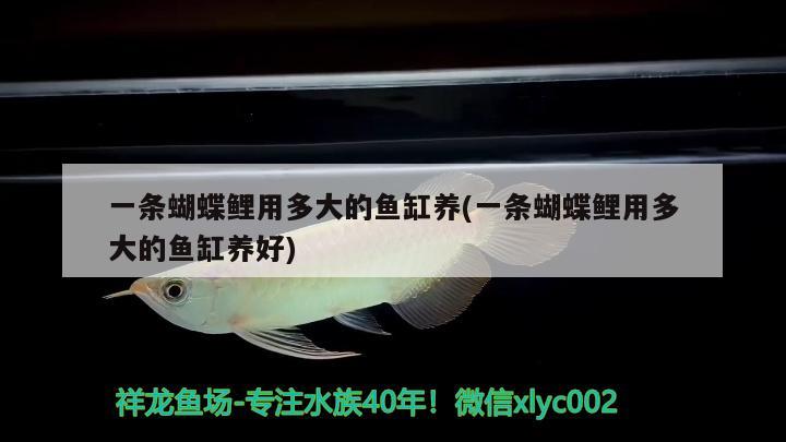 大慶市讓胡路區君諾寵物專用品店