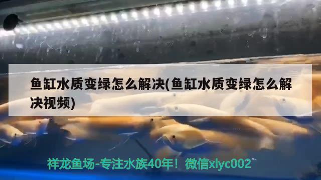 大慶市讓胡路區君諾寵物專用品店