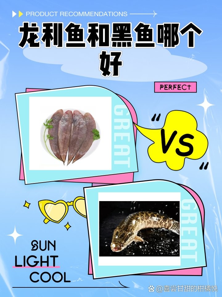龍利魚和黑魚哪個更適合清蒸？ 龍利魚和黑魚哪個更適合清蒸？ 龍魚百科 第7張