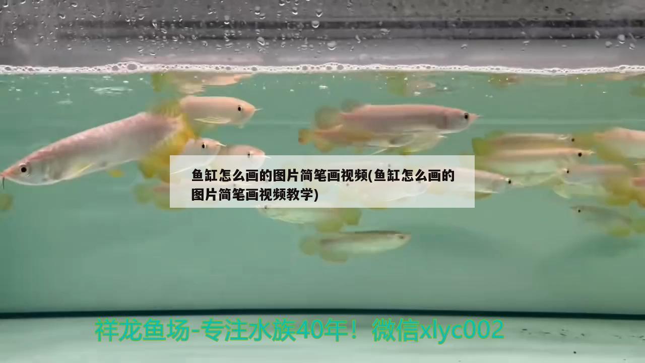 魚缸怎么畫的圖片簡筆畫視頻(魚缸怎么畫的圖片簡筆畫視頻教學) 魚缸百科 第2張 魚缸怎么畫的圖片簡筆畫視頻(魚缸怎么畫的圖片簡筆畫視頻教學) 魚缸怎么畫的圖片簡筆畫視頻(魚缸怎么畫的圖片簡筆畫視頻教學) 魚缸百科 第2張