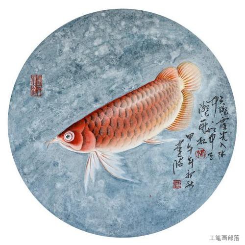 工筆金龍魚的圖片欣賞