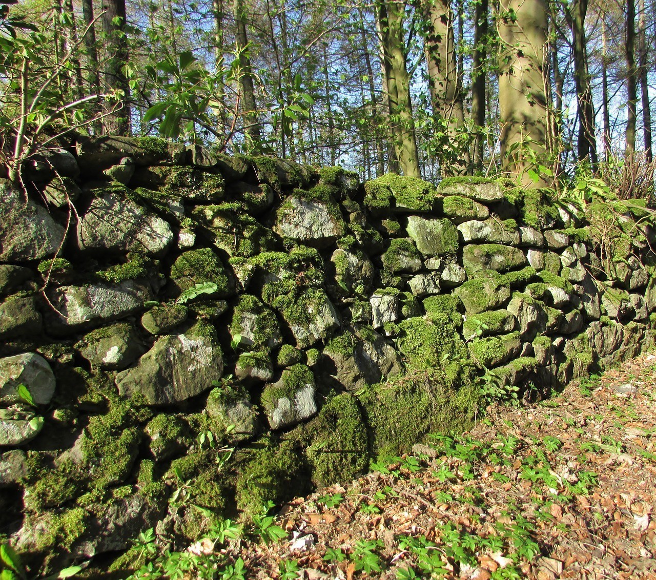 阜新市鑫源水族產(chǎn)品經(jīng)營(yíng)店——打造一站式水族養(yǎng)殖與服務(wù)平臺(tái)（阜新市太平區(qū)鑫源水族產(chǎn)品經(jīng)營(yíng)店—打造一站式水族養(yǎng)殖與服務(wù)平臺(tái)） 阜新市鑫源水族產(chǎn)品經(jīng)營(yíng)店——打造一站式水族養(yǎng)殖與服務(wù)平臺(tái)（阜新市太平區(qū)鑫源水族產(chǎn)品經(jīng)營(yíng)店—打造一站式水族養(yǎng)殖與服務(wù)平臺(tái)） 全國(guó)水族館企業(yè)名錄 第2張