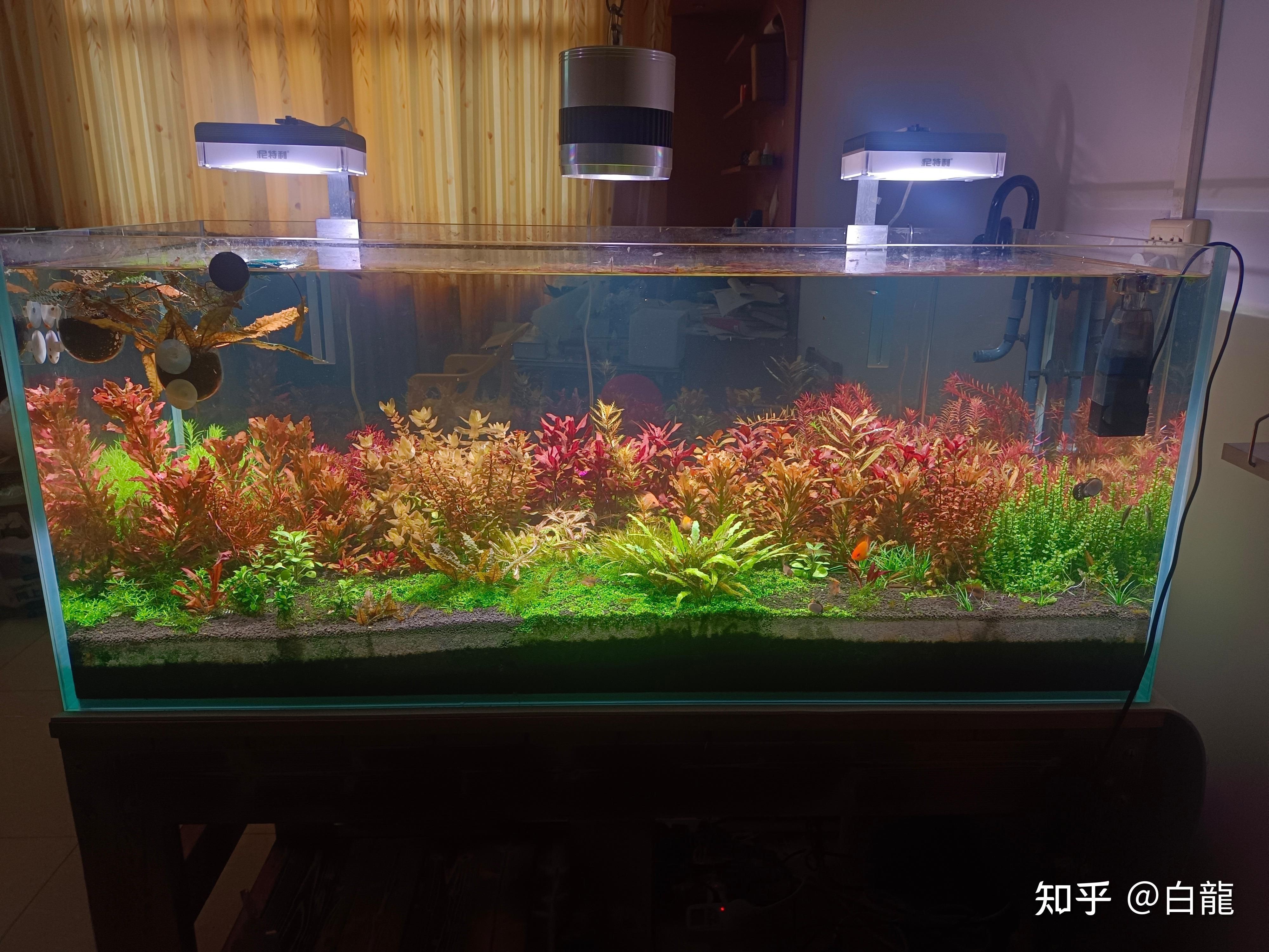 海景坊魚缸的價(jià)格范圍：水族箱養(yǎng)護(hù)指南， 海景坊魚缸的價(jià)格范圍：水族箱養(yǎng)護(hù)指南， 魚缸百科 第3張