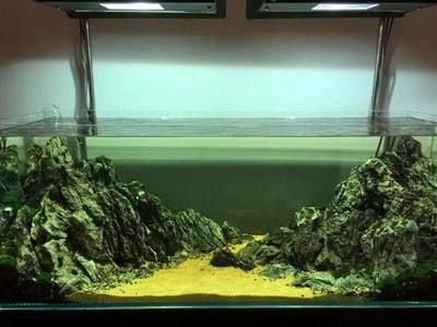 黑金沙魚缸造景選購技巧黑金沙選購技巧：黑金沙的選購技巧 黑金沙魚缸造景選購技巧黑金沙選購技巧：黑金沙的選購技巧 魚缸百科 第3張