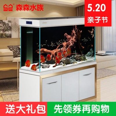 龍魚缸怎么造景最好：如何為龍魚缸造景 龍魚缸怎么造景最好：如何為龍魚缸造景 龍魚百科 第2張