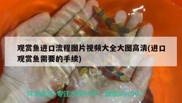 什么樣的魚(yú)缸質(zhì)量好耐用：佳寶jebo魚(yú)缸過(guò)濾系統(tǒng)原理匯總森森魚(yú)缸的用戶(hù)評(píng)價(jià)匯總
