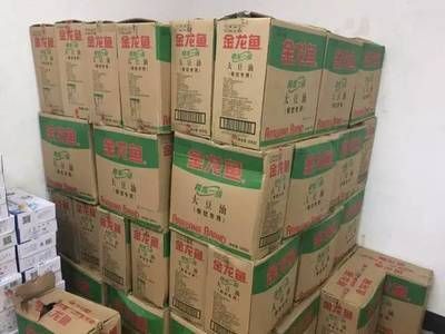 金龍魚很長時間不吃東西：金龍魚很長時間不吃東西怎么辦