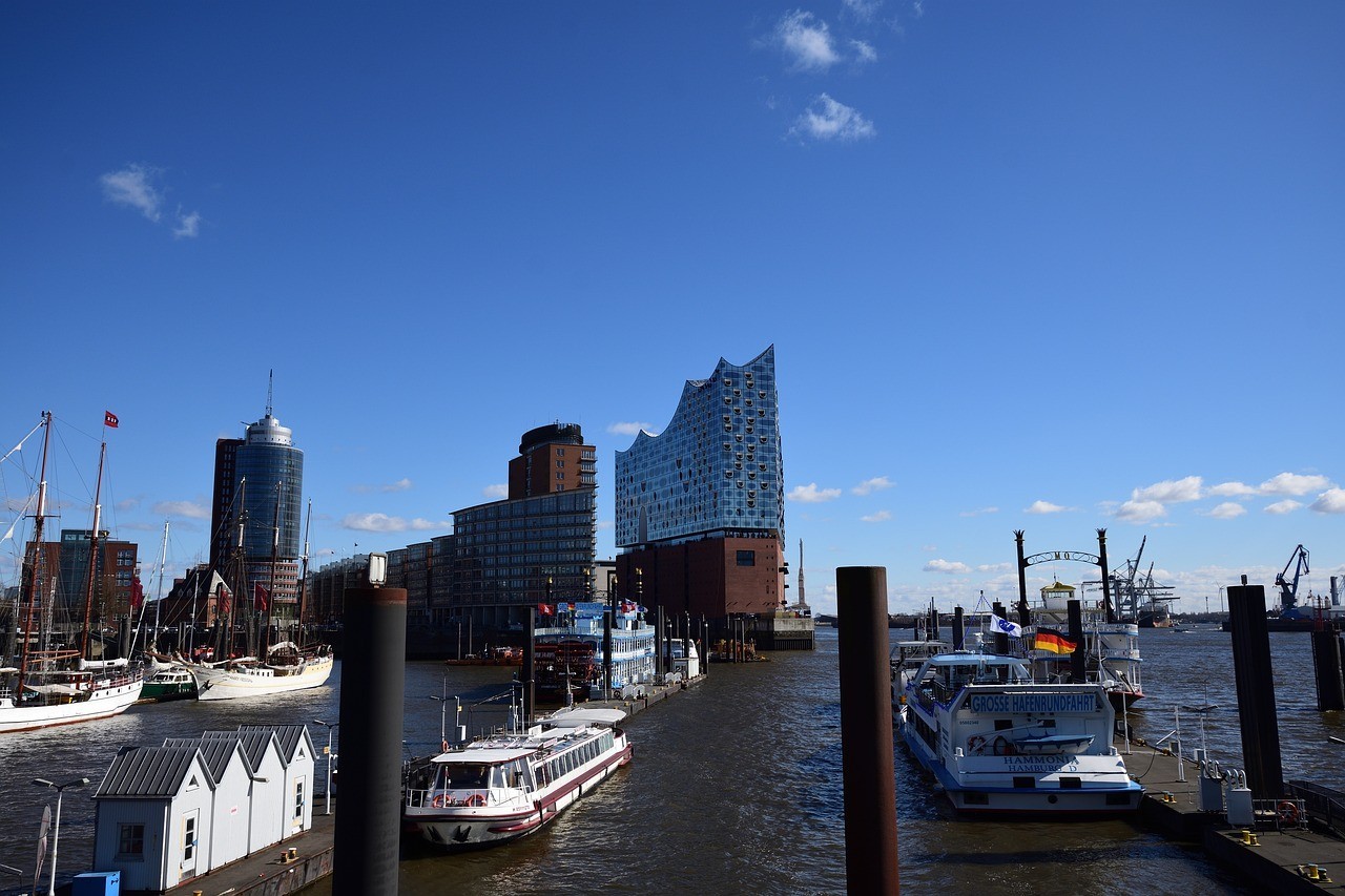 沈陽市沈北新區如魚水族花鳥魚蟲店