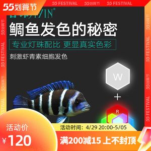 魚缸燈有助于魚發(fā)色嗎:如何調(diào)節(jié)魚缸燈光色溫,魚缸照明對(duì)水質(zhì)有何影響 魚缸百科 第5張 魚缸燈有助于魚發(fā)色嗎:如何調(diào)節(jié)魚缸燈光色溫,魚缸照明對(duì)水質(zhì)有何影響 魚缸燈有助于魚發(fā)色嗎:如何調(diào)節(jié)魚缸燈光色溫,魚缸照明對(duì)水質(zhì)有何影響 魚缸百科 第5張