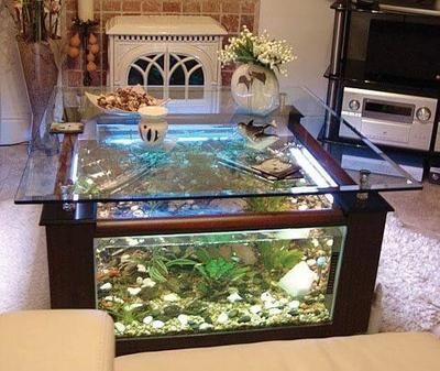 放小魚缸的講究（搜索結果整理的小魚缸擺放的一些講究）