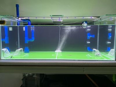 底濾魚缸過濾系統的維護與保養技巧掌握底濾魚缸的維護與保養技巧：底濾魚缸的排污原理 底濾魚缸過濾系統的維護與保養技巧掌握底濾魚缸的維護與保養技巧：底濾魚缸的排污原理 魚缸百科 第2張