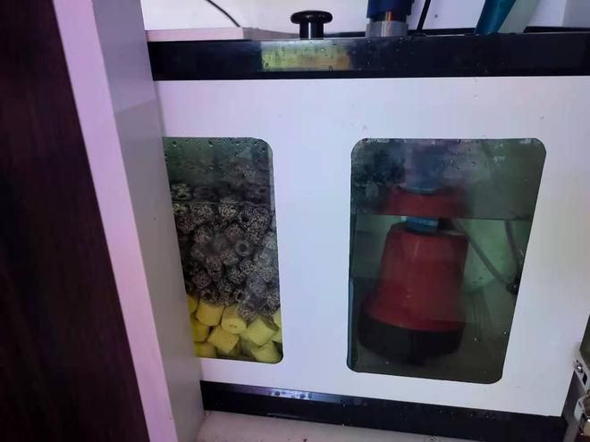 底濾魚缸過濾系統的維護與保養技巧掌握底濾魚缸的維護與保養技巧：底濾魚缸的排污原理 底濾魚缸過濾系統的維護與保養技巧掌握底濾魚缸的維護與保養技巧：底濾魚缸的排污原理 魚缸百科 第3張