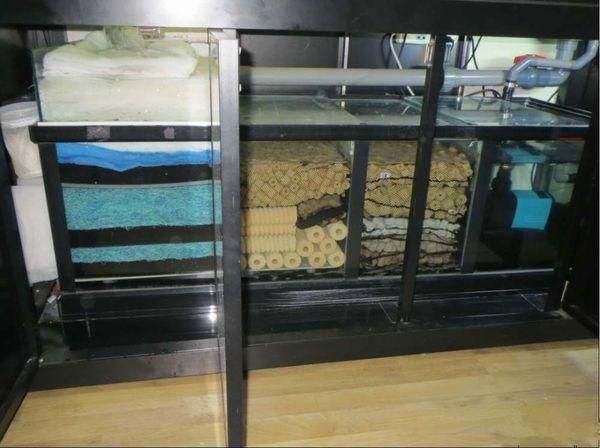 底濾魚缸過濾系統的維護與保養技巧掌握底濾魚缸的維護與保養技巧：底濾魚缸的排污原理 底濾魚缸過濾系統的維護與保養技巧掌握底濾魚缸的維護與保養技巧：底濾魚缸的排污原理 魚缸百科 第1張