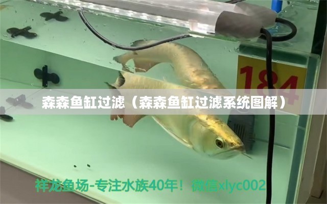 長春市寬城區基隆北街與柳江路交匯處魚樂島水族館（長春漁樂圈海鮮超市餐廳） 長春市寬城區基隆北街與柳江路交匯處魚樂島水族館（長春漁樂圈海鮮超市餐廳） 全國水族館企業名錄
