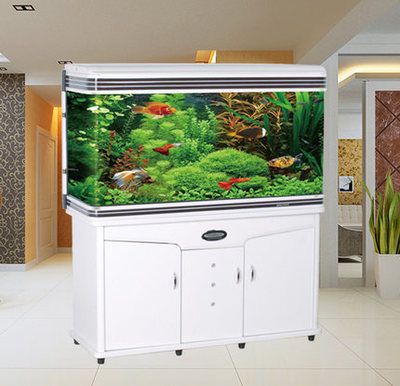 閩江（minjiang）魚缸：關于閩江（minjiang）魚缸的詳細介紹
