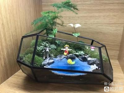 夢見魚缸里多了很多小魚：夢見魚缸小魚增多是什么意思