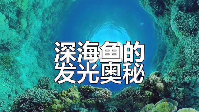 深海龍魚圖片大全大圖
