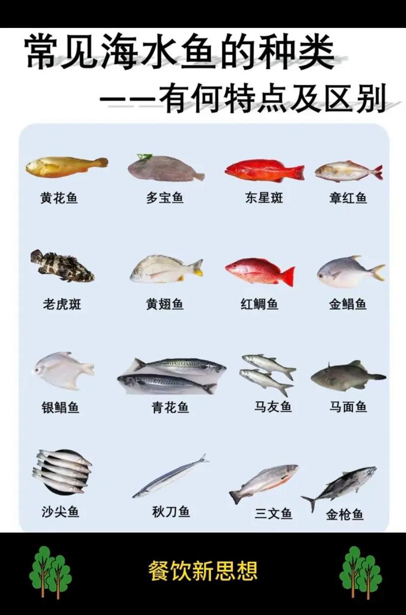 深海龍魚圖片大全大圖