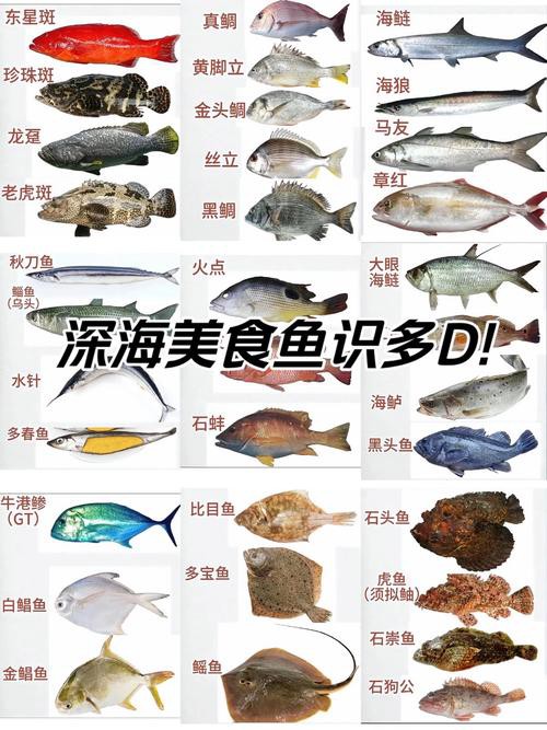 深海龍魚圖片大全大圖