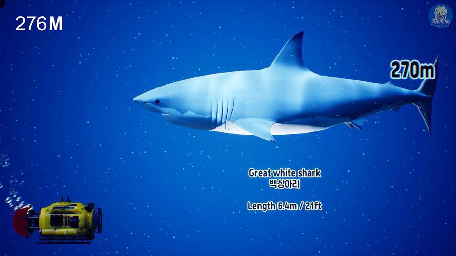 深海龍魚圖片大全大圖