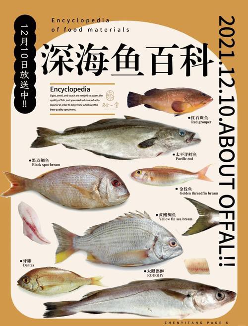 深海龍魚圖片大全大圖