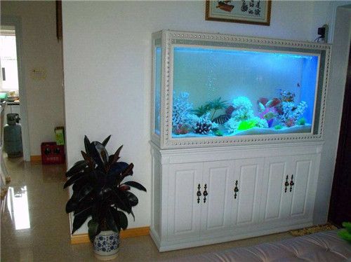 魚缸漏水怎么辦？：底濾魚缸出水口漏水怎么辦