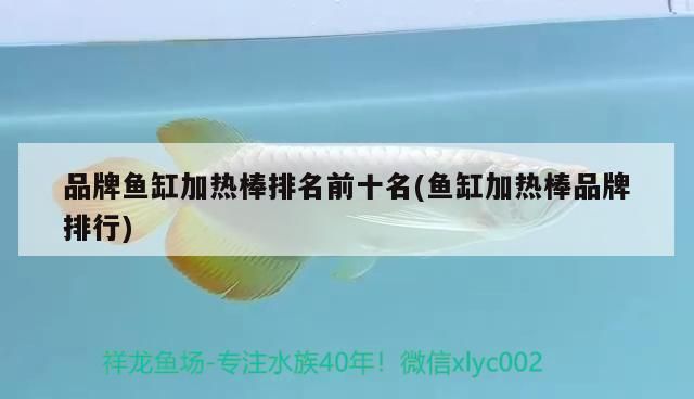 品牌魚缸加熱棒排名前十名：品牌魚缸加熱棒排名前十名創寧cn加熱棒技術參數