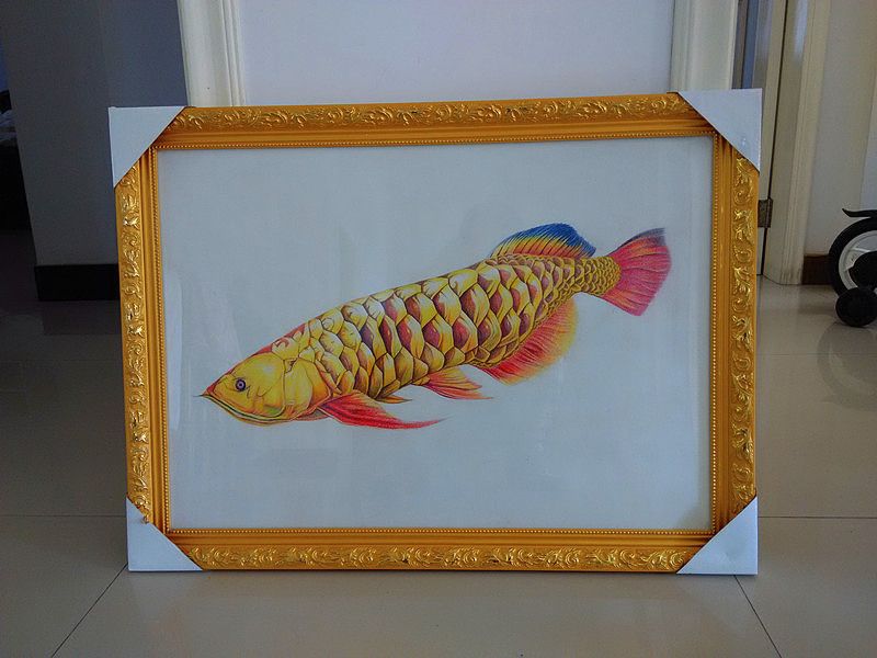 紅金龍魚的畫法怎么畫（紅金龍魚工筆畫法） 紅金龍魚的畫法怎么畫（紅金龍魚工筆畫法） 龍魚百科 第2張
