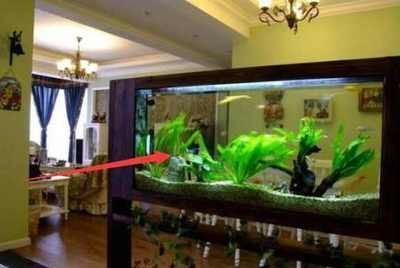 西南方位魚缸擺放技巧：西南方位魚缸擺放技巧西南方位魚缸擺放技巧 西南方位魚缸擺放技巧：西南方位魚缸擺放技巧西南方位魚缸擺放技巧 魚缸百科 第4張