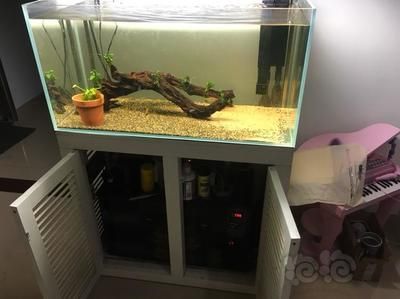 底濾魚缸造景的基本步驟：底濾魚缸造景不僅能夠提升魚缸的美觀度，還能為水族寵物-07] 底濾魚缸造景的基本步驟：底濾魚缸造景不僅能夠提升魚缸的美觀度，還能為水族寵物-07] 魚缸百科 第1張