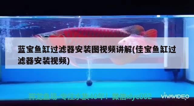 佳寶魚缸安裝圖解視頻教程：佳寶魚缸安裝圖解視頻教程詳情
