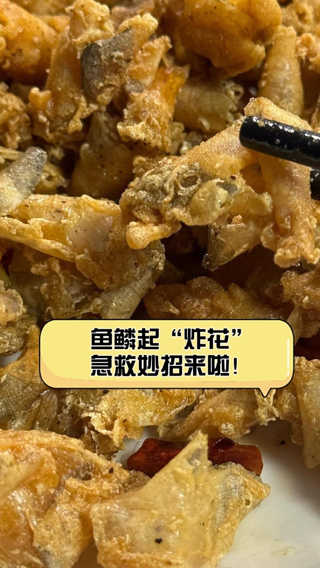 龍魚炸鱗后多久可以喂食？