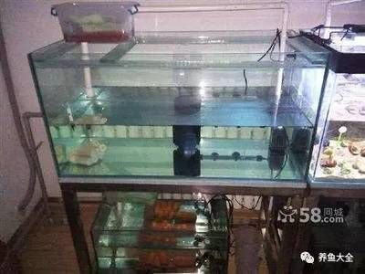 農(nóng)村的房子魚(yú)缸放在家里哪個(gè)位置好（農(nóng)村房子魚(yú)缸放在家里哪個(gè)位置好，不僅可以美化家居環(huán)境）