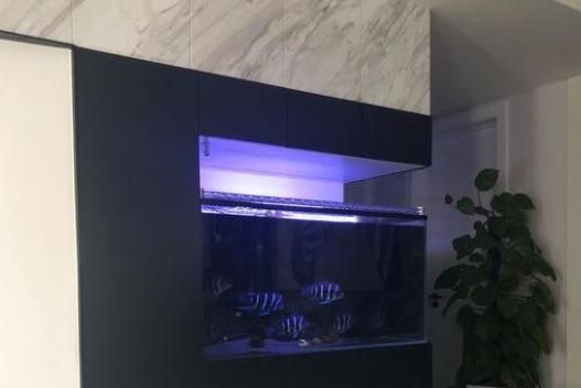 北歐風格魚缸選購指南：北歐風格魚缸維護技巧分享北歐風格魚缸維護技巧分享 北歐風格魚缸選購指南：北歐風格魚缸維護技巧分享北歐風格魚缸維護技巧分享 魚缸百科 第3張