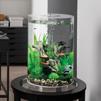 北歐風格魚缸選購指南：北歐風格魚缸維護技巧分享北歐風格魚缸維護技巧分享 北歐風格魚缸選購指南：北歐風格魚缸維護技巧分享北歐風格魚缸維護技巧分享 魚缸百科 第1張