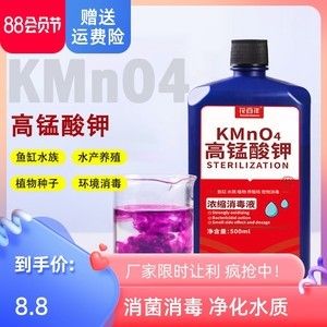 閩江魚缸怎么樣好養嗎視頻：閩江魚缸適合養哪些魚種