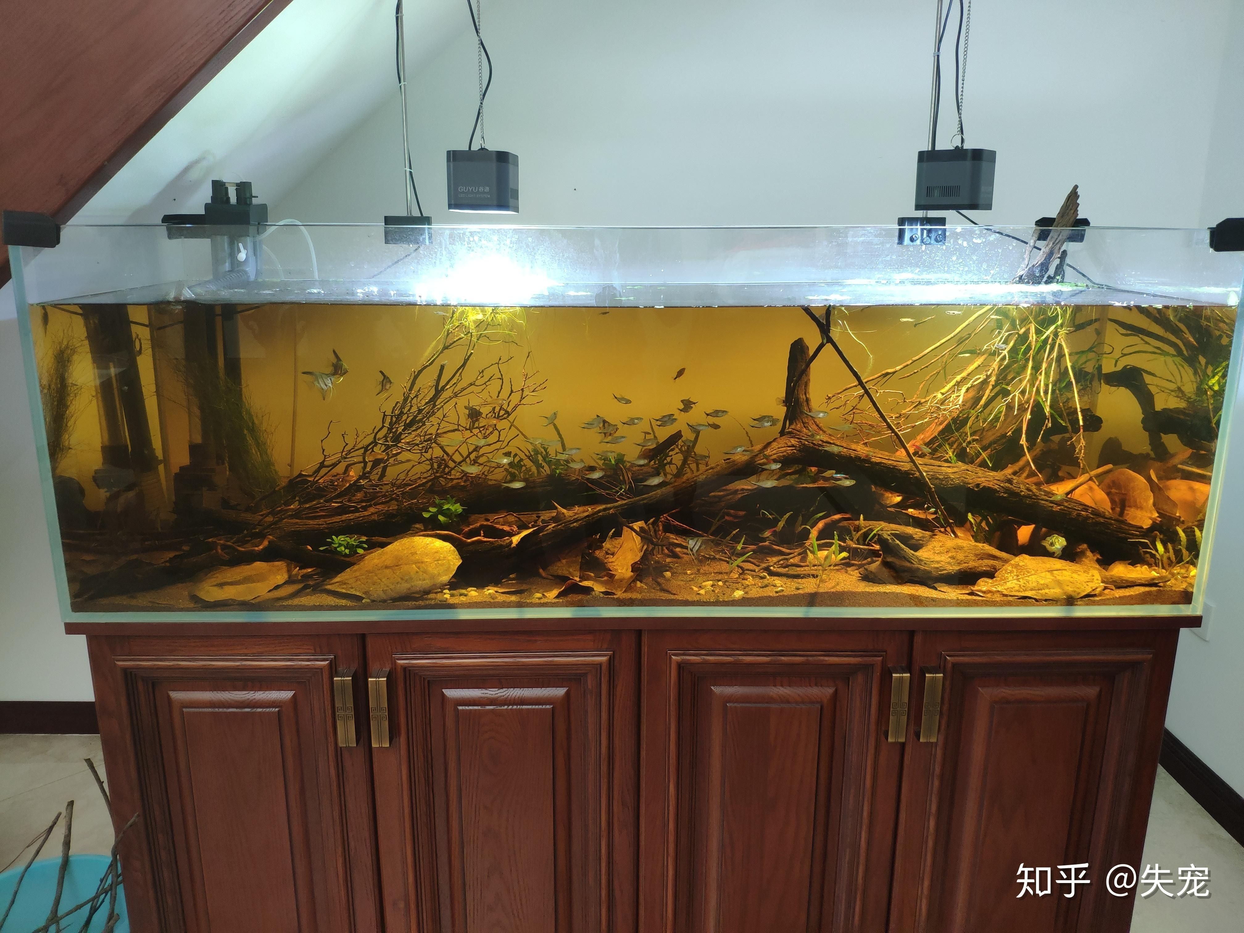 魚缸選購注意事項在選擇底濾魚缸品牌時可以參考以下幾個品牌：底濾魚缸品牌推薦