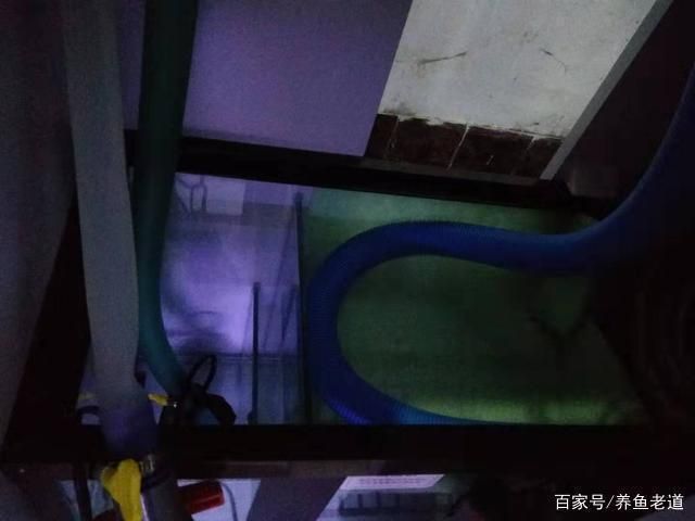 森森魚缸下過濾循環(huán)視頻：森森魚缸下過濾循環(huán)