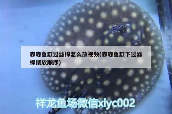 森森魚缸下過濾循環(huán)視頻：森森魚缸下過濾循環(huán)