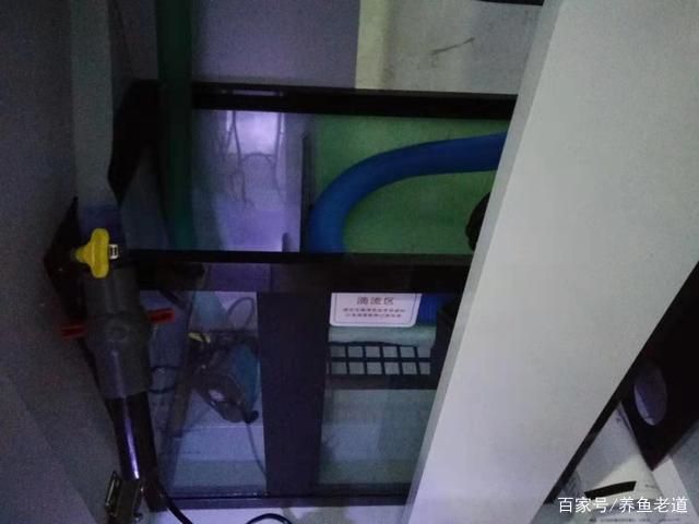 森森魚缸下過濾循環(huán)視頻：森森魚缸下過濾循環(huán)