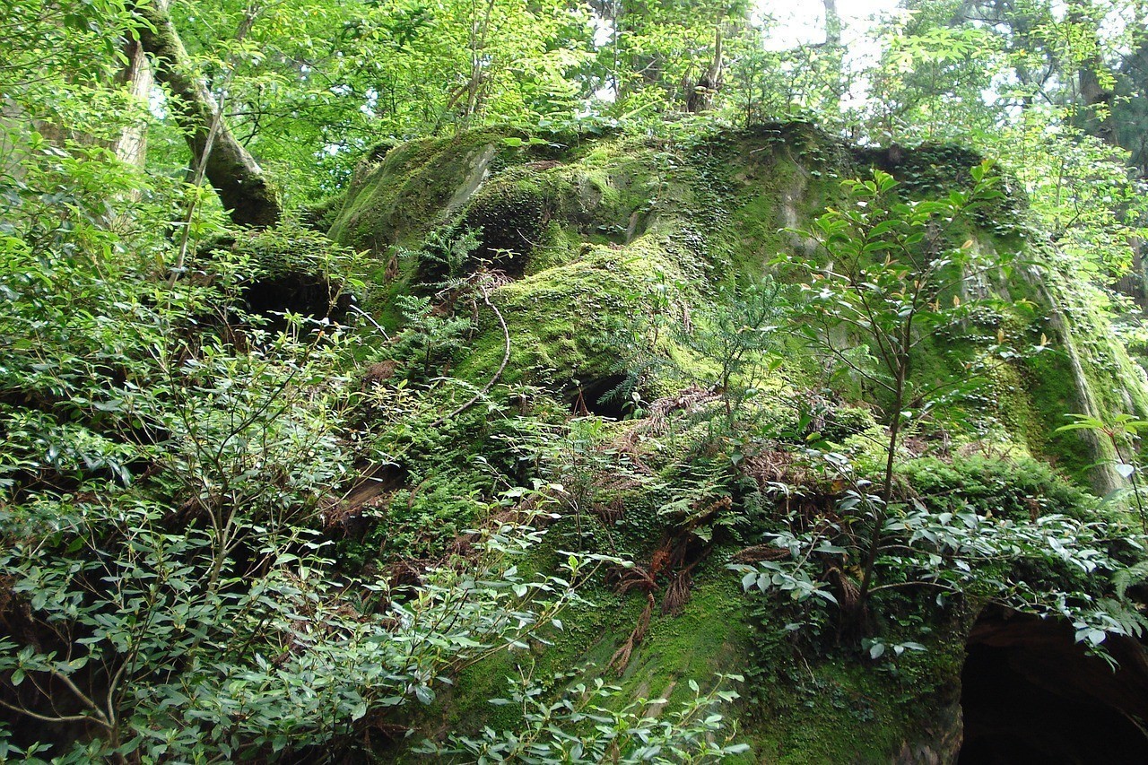 老邊區(qū)智興生態(tài)園（老邊區(qū)智興生態(tài)園地址）