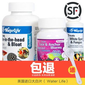 龍魚外寄用什么藥效果好 龍魚外寄用什么藥效果好 龍魚百科 第5張