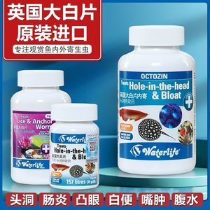 龍魚外寄用什么藥效果好 龍魚外寄用什么藥效果好 龍魚百科 第3張