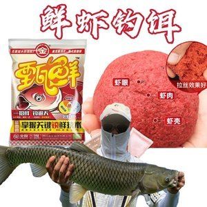 金龍魚吃紅蟲嗎：金龍魚可以喂紅蟲嗎