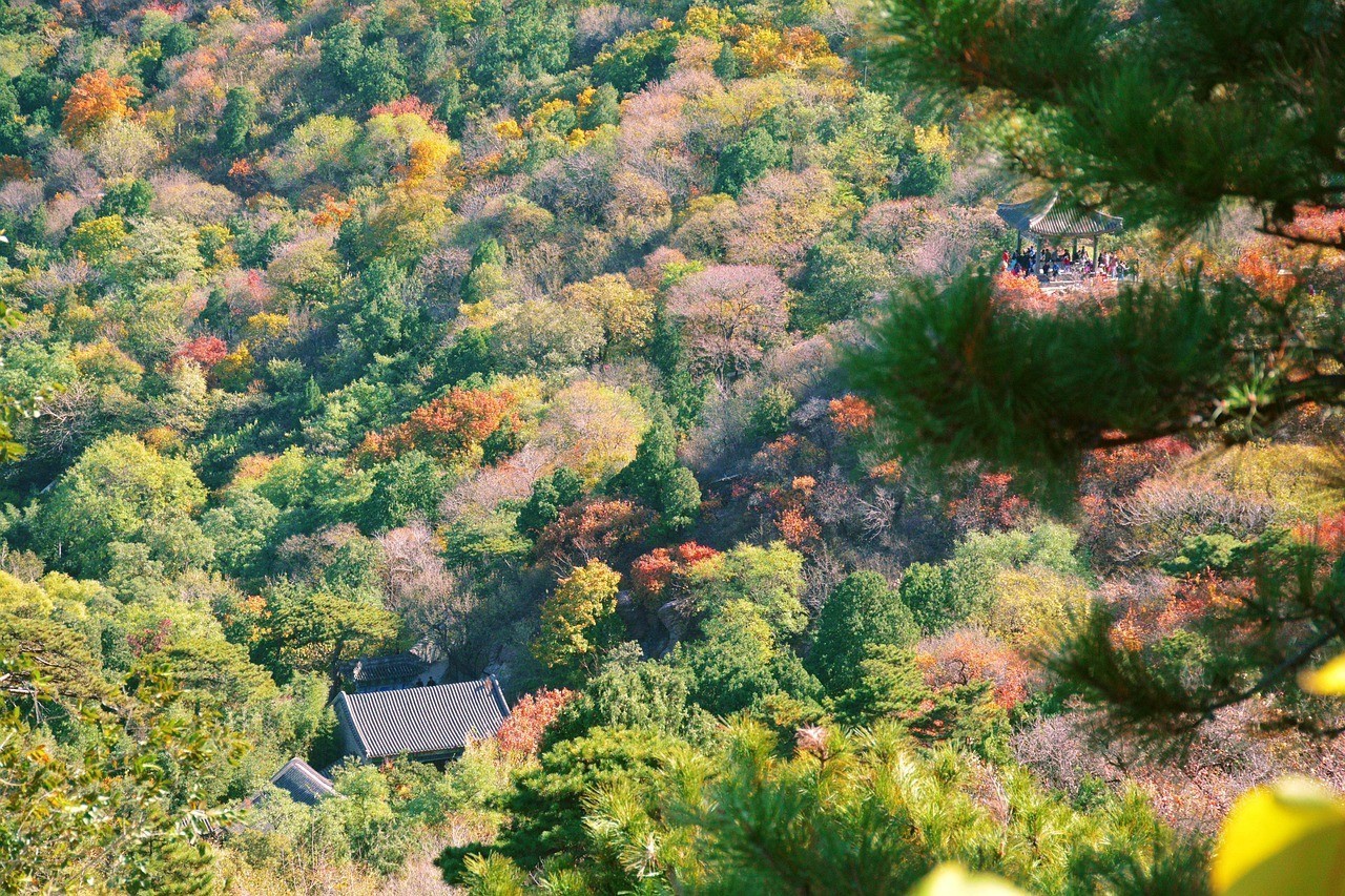 周村金土地生態園（金土地生態園門票價格）